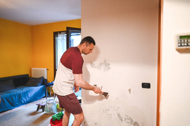 Attic Mold Removal in Lincoln, MT